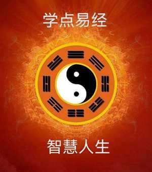 易经入门学什么(易经入门学什么好)