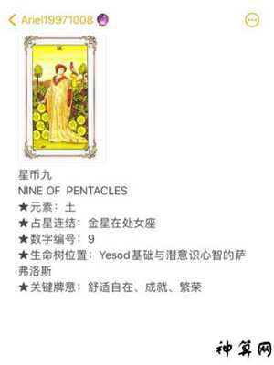 星币9的桃花运势(星币九逆位桃花运势)