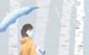 转运方法十赌九赢法