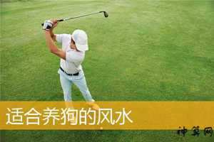 风水住宅养狗(风水住宅养狗好不好)