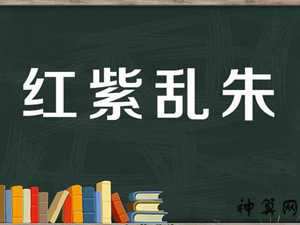 紫朱的风水(紫朱是什么意思)