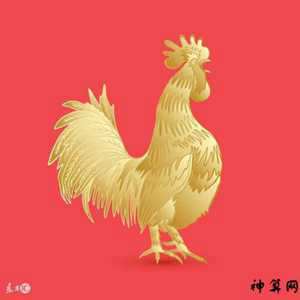 猴人鸡年运势(猴人鸡年运势如何)