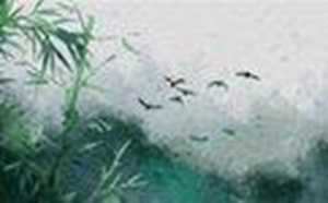 租房子如何看风水好不好(租房子如何看风水好不好干净)