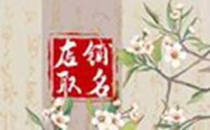 最出名的取名大师(最出名的取名大师是谁)