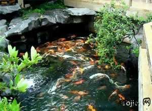 庭院池塘风水禁忌图片(庭院池塘风水)