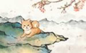 今年82年属狗的财运怎么样(今年82年属狗的财运怎么样呀)