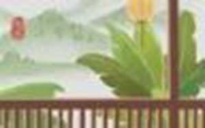 什么绿植适合客厅又好养
