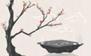 家有10种东西必破财(家有10种东西必破财)