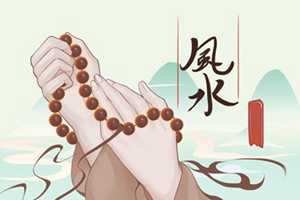 财位放鲜花好不好(财位可以放鲜花吗)