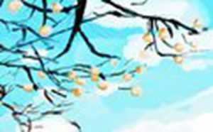 家里葫芦最多挂几个(葫芦在家中摆放的正确位置图)