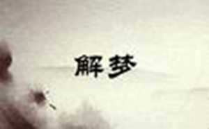 梦见找到风水宝地占坟(梦见找到风水宝地占坟地)