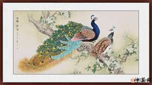 孔雀代表风水(孔雀代表风水什么)