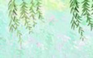 山本无忧(山本无忧因雪白头水本无愁因风起皱什么意思)