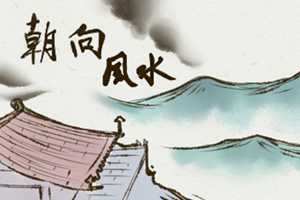 旺财的家居风水(旺财的家居风水怎么样)