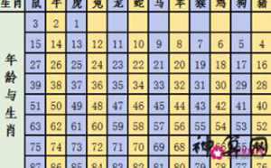 12生肖49个数字大小(十二生肖49个数大小分)