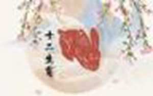 2022年属兔的财运和运气如何(2022年属兔的财运和运气如何2021)