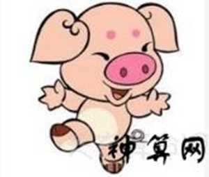1995年猪人2019运势