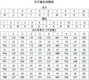 天干地支对照表算法(天干地支的对应表)