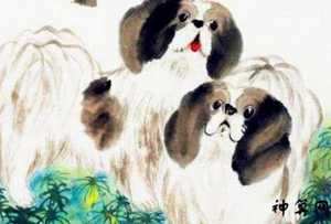 属兔的遇狗年运势如何(属兔的遇到狗年好不好)