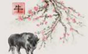 1973年属牛人每月运势如何(1973年属牛人2023年每月运势)
