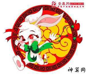 属兔的风水注意事项(属兔的风水注意事项有哪些)