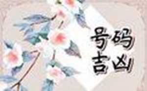 输入手机号直接定位是真的吗(通过手机号查对方位置)