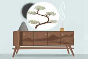 家里放哪些绿植旺财(家里放哪些绿植旺财聚财)