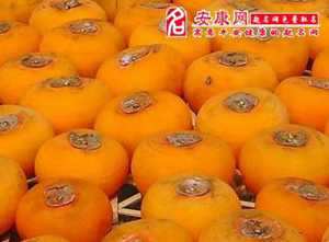做梦梦到摘柿子是什么意思(女人梦见熟透的柿子什么预兆)