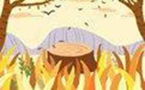 天干地支在风水中各代表什么(天干地支在风水中的应用)