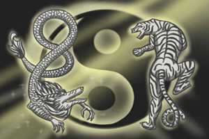 仙人掌放在哪里招财-神算网(仙人掌放在什么地方吉利)
