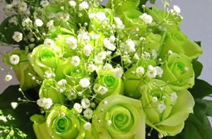 绿玫瑰花语难道只代表了爱情永恒(绿玫瑰花语代表什么)