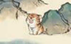 今年属虎的运气怎么样11月份(今年属虎的运气怎么样11月份出生)