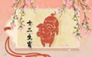 属猪的为什么2020年会破财(属猪的为什么2020年会破财呢)