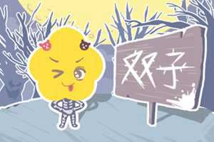 天秤座男和双子座女恋爱会有结果吗(天秤座男和双子座女恋爱会有结果吗知乎)