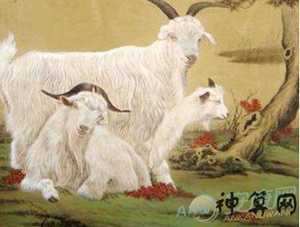 风水属羊屋里放什么增加记忆(属羊屋里放什么能发财)