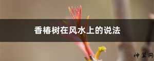 春分风水有说法吗(春分的风水)