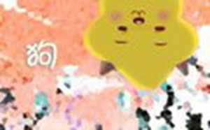 2021年属狗女的全年运势如何-神算网(2021年属狗女的全年运势详解)