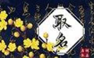 正规的培训机构有哪些(产康正规的培训机构有哪些)
