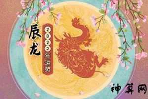 属龙的6月份运势如何(属龙的6月份运势如何呢)