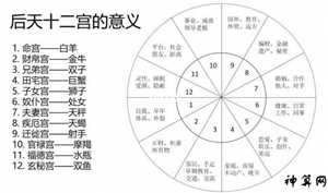 星座事业运(星座事业运势)