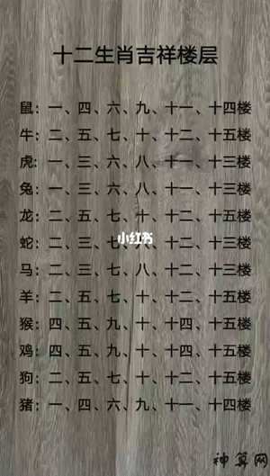 楼层的风水和属相(楼层的风水和属相有关系吗)