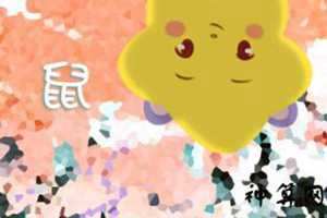 96鼠人2017年运势(96年属鼠2017年运势)