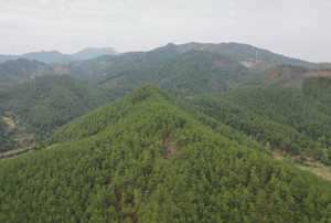 中国风水宝地视频(中国风水宝地视频讲解)