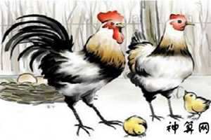 2017年7月份属鸡的运势(2017年7月份属鸡的运势如何)