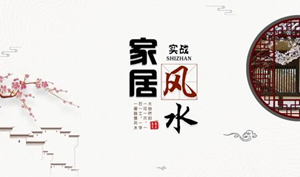 仙人掌摆高在大门口对家里风水有影响吗(仙人掌放在大门口好不好)
