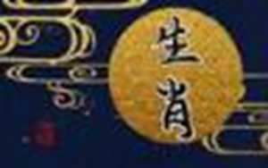 12生肖大全数字(12生肖数字表)