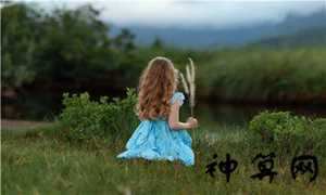 十二属相与婚配关系(十二属相与婚配)
