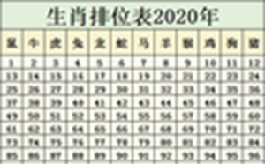 生肖排位表2020年正版排码表图(生肖排位表2021年正版排码表图)