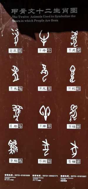 爆字生肖(爆字什么生肖)