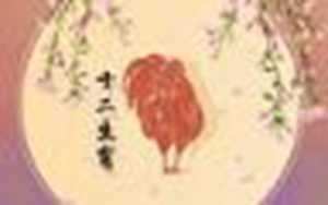 今年好运气的属性(今年好运气的属性是什么)